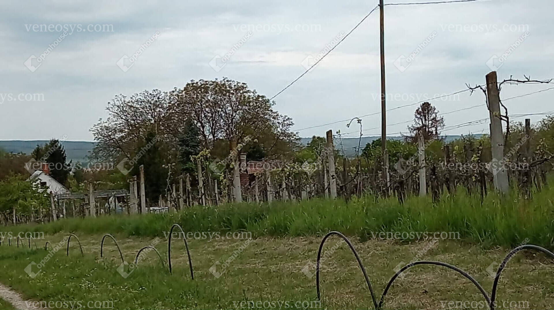 Kép 22