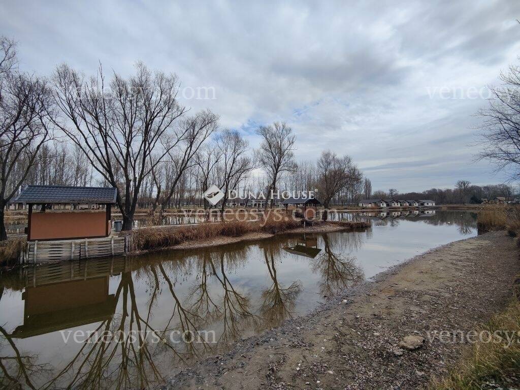 Kép 19