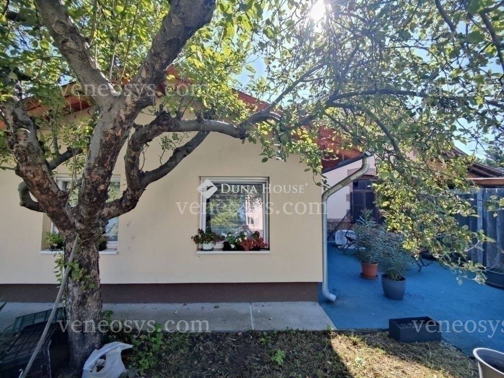 Kép 15