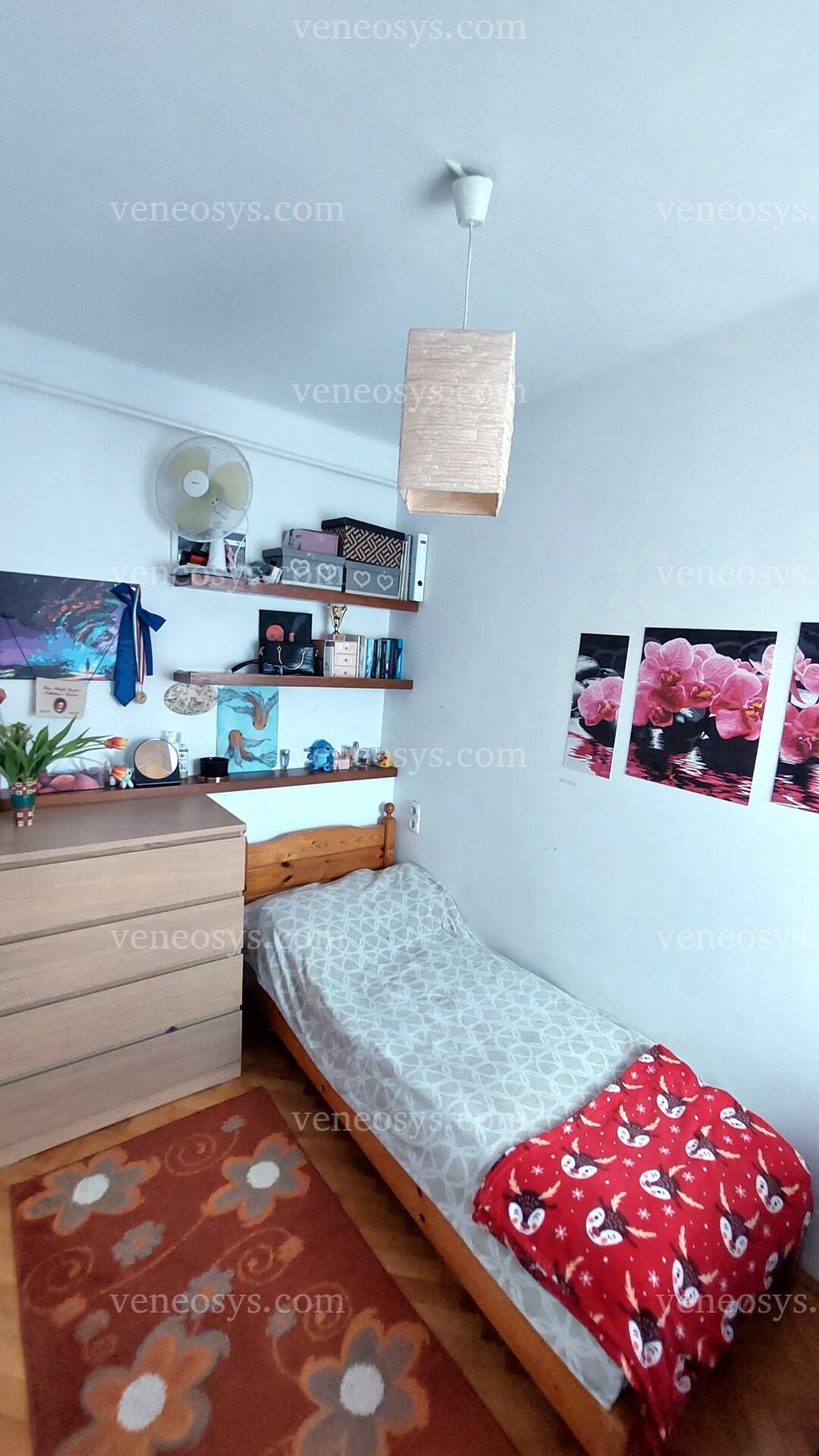 Kép 7