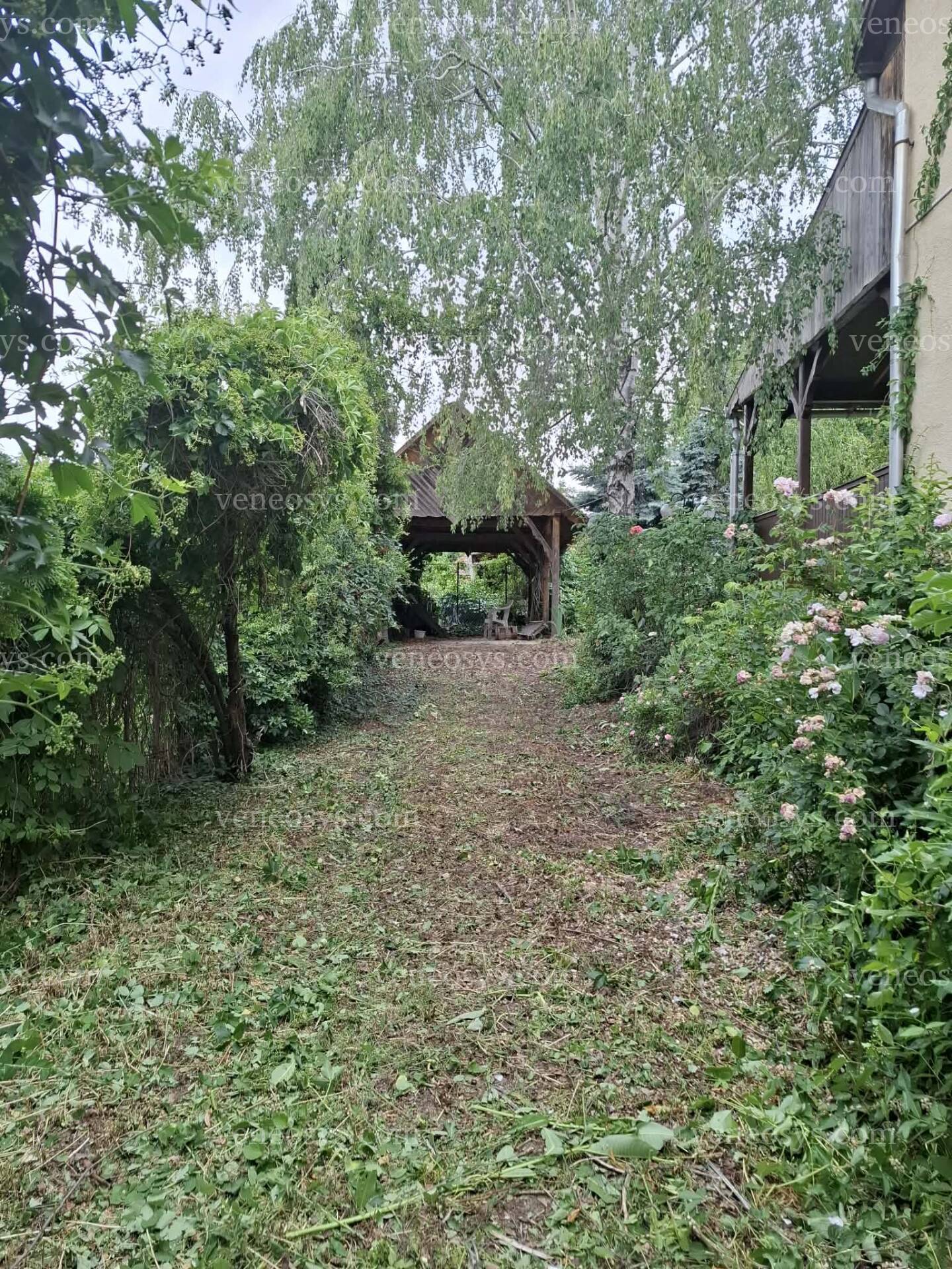 Kép 23