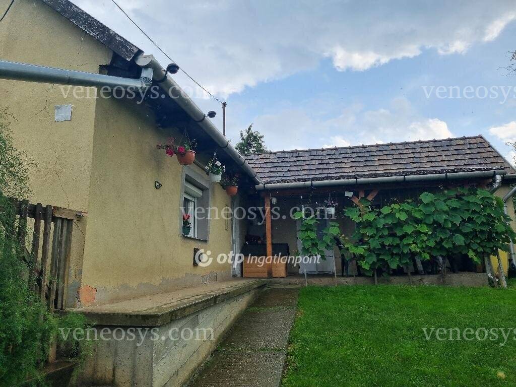 Kép 17