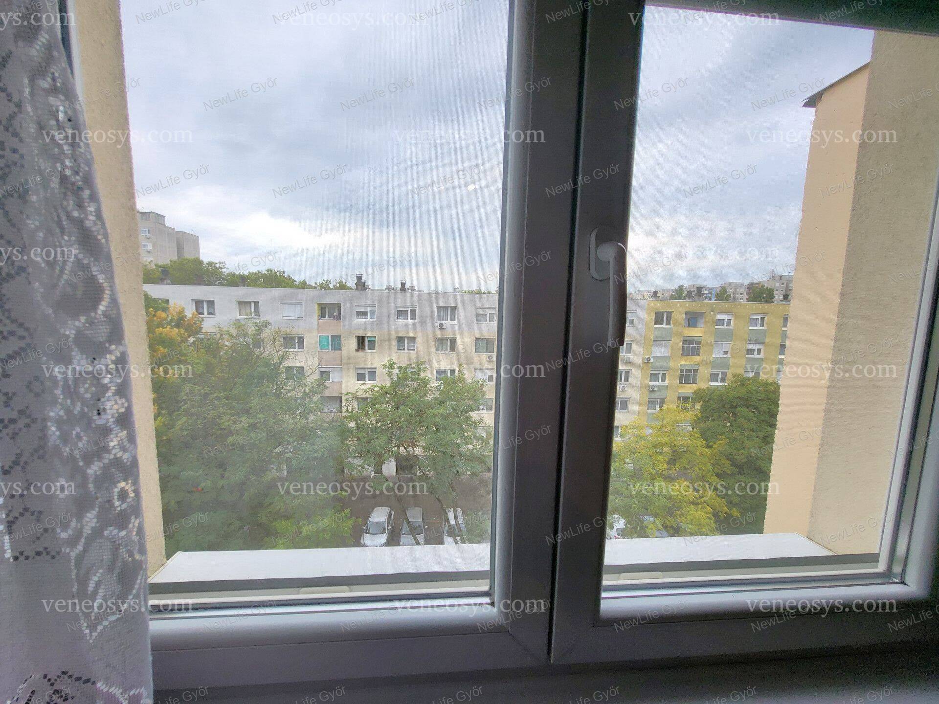 Kép 4