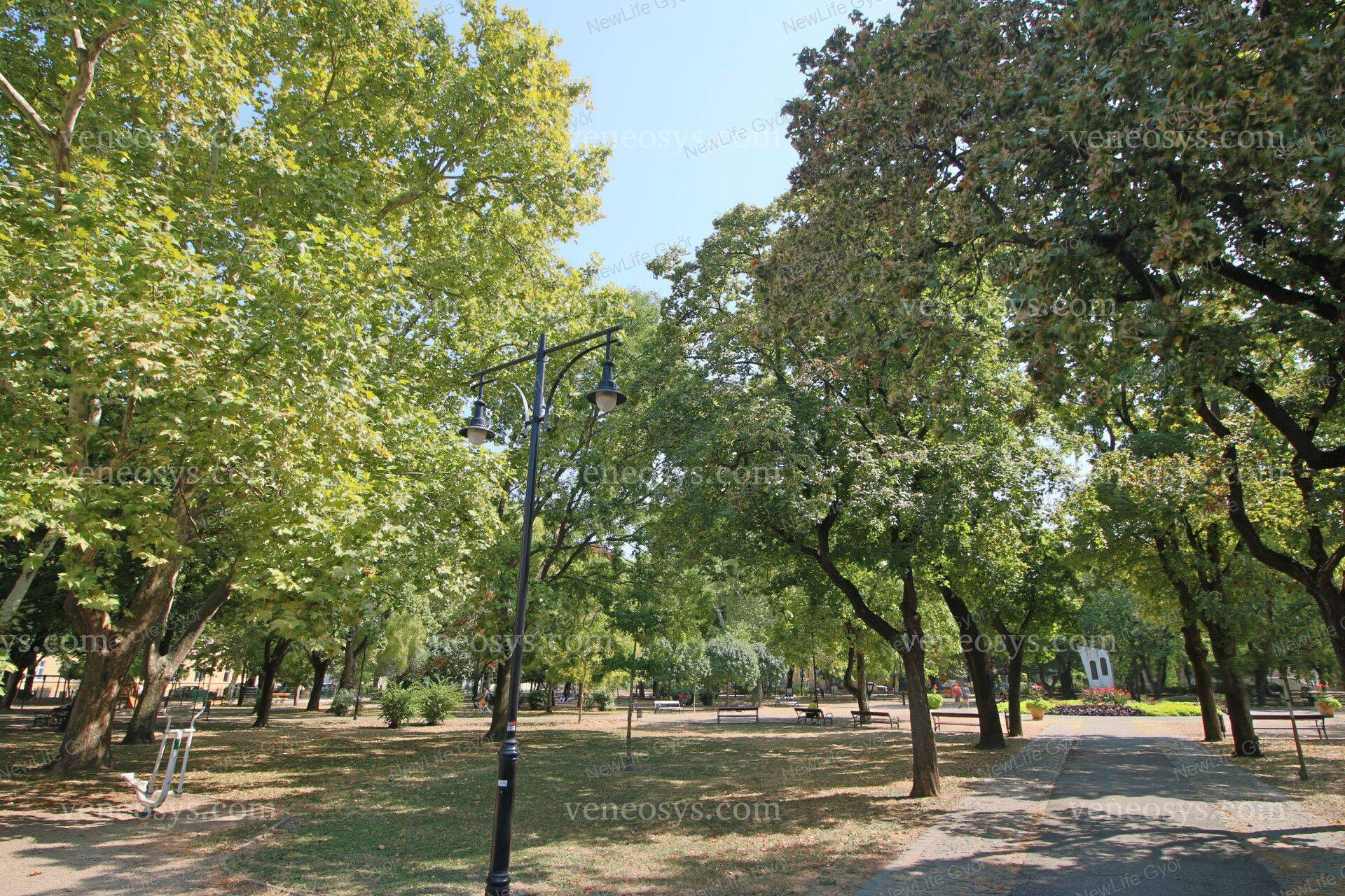 Kép 28