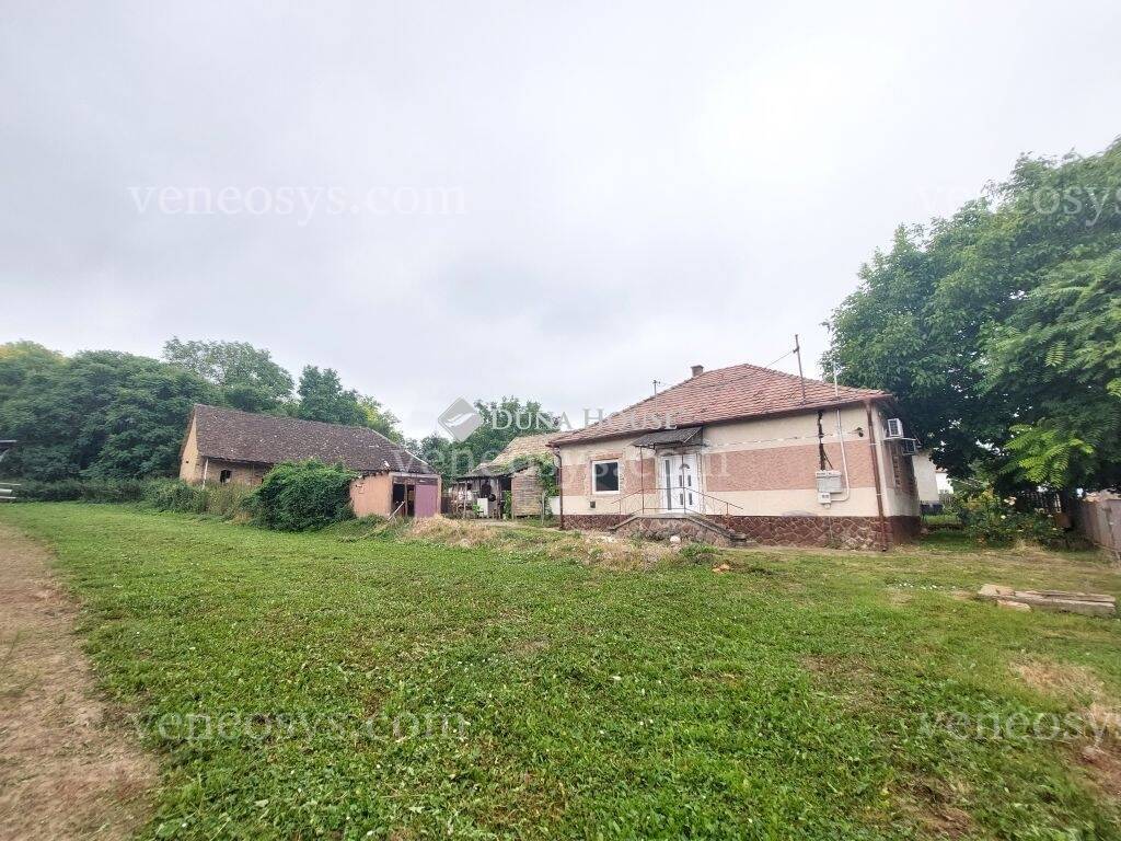 Kép 12