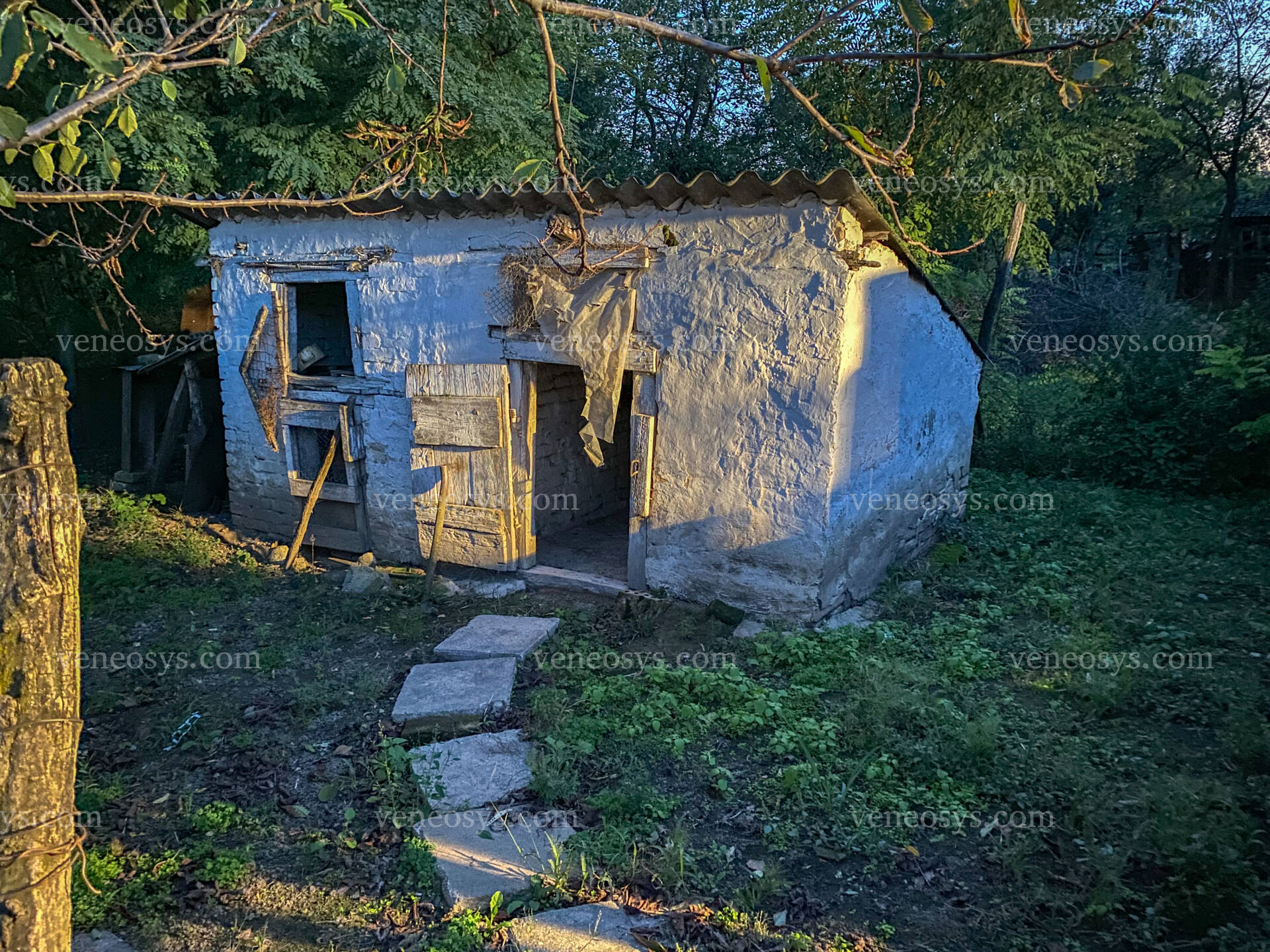 Kép 33