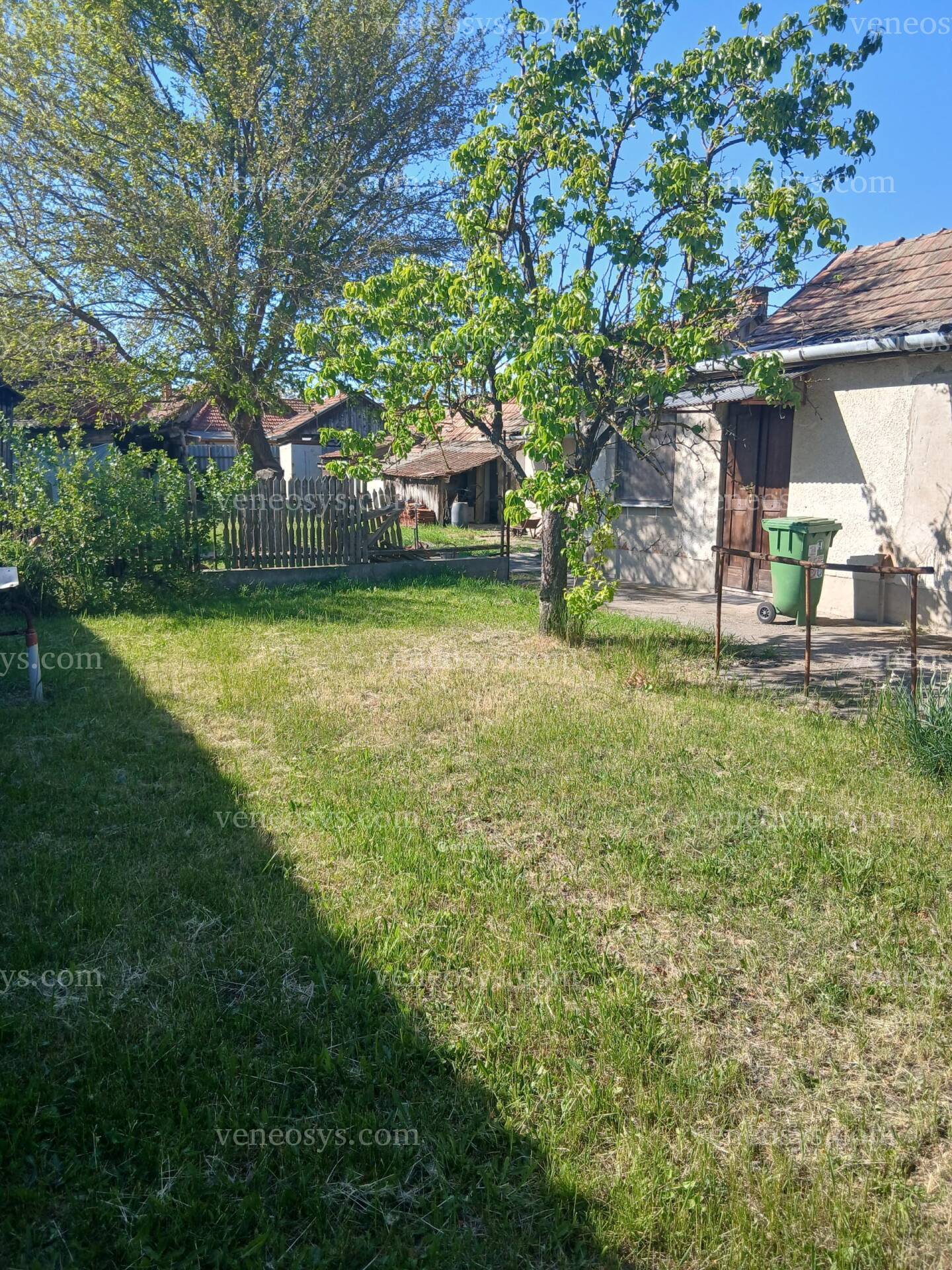 Kép 11