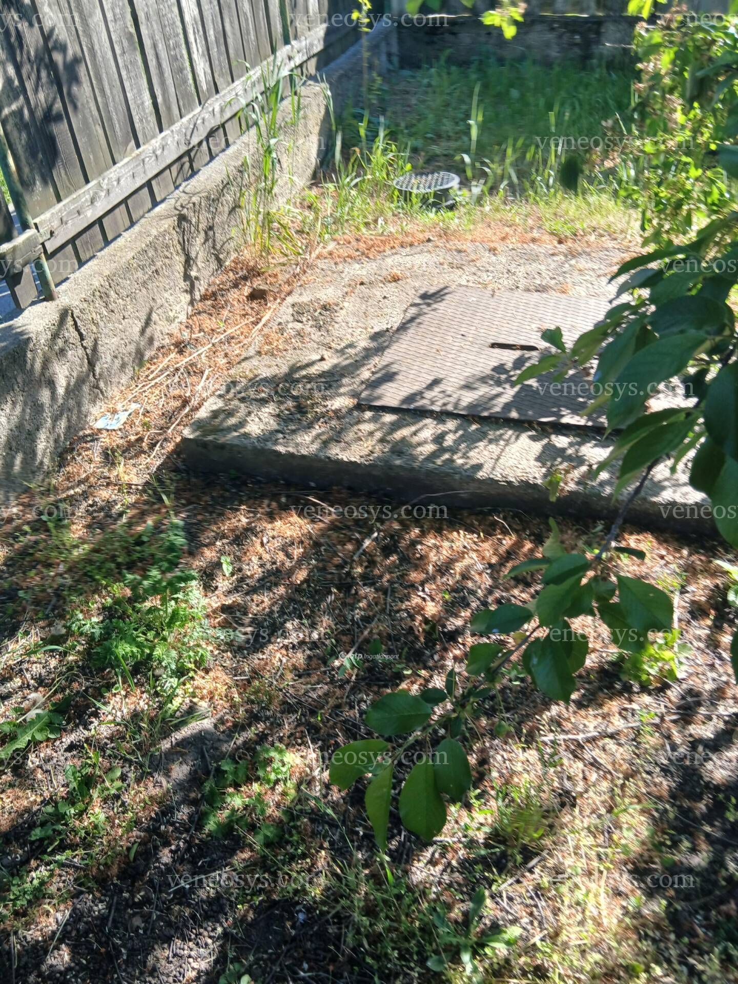 Kép 20