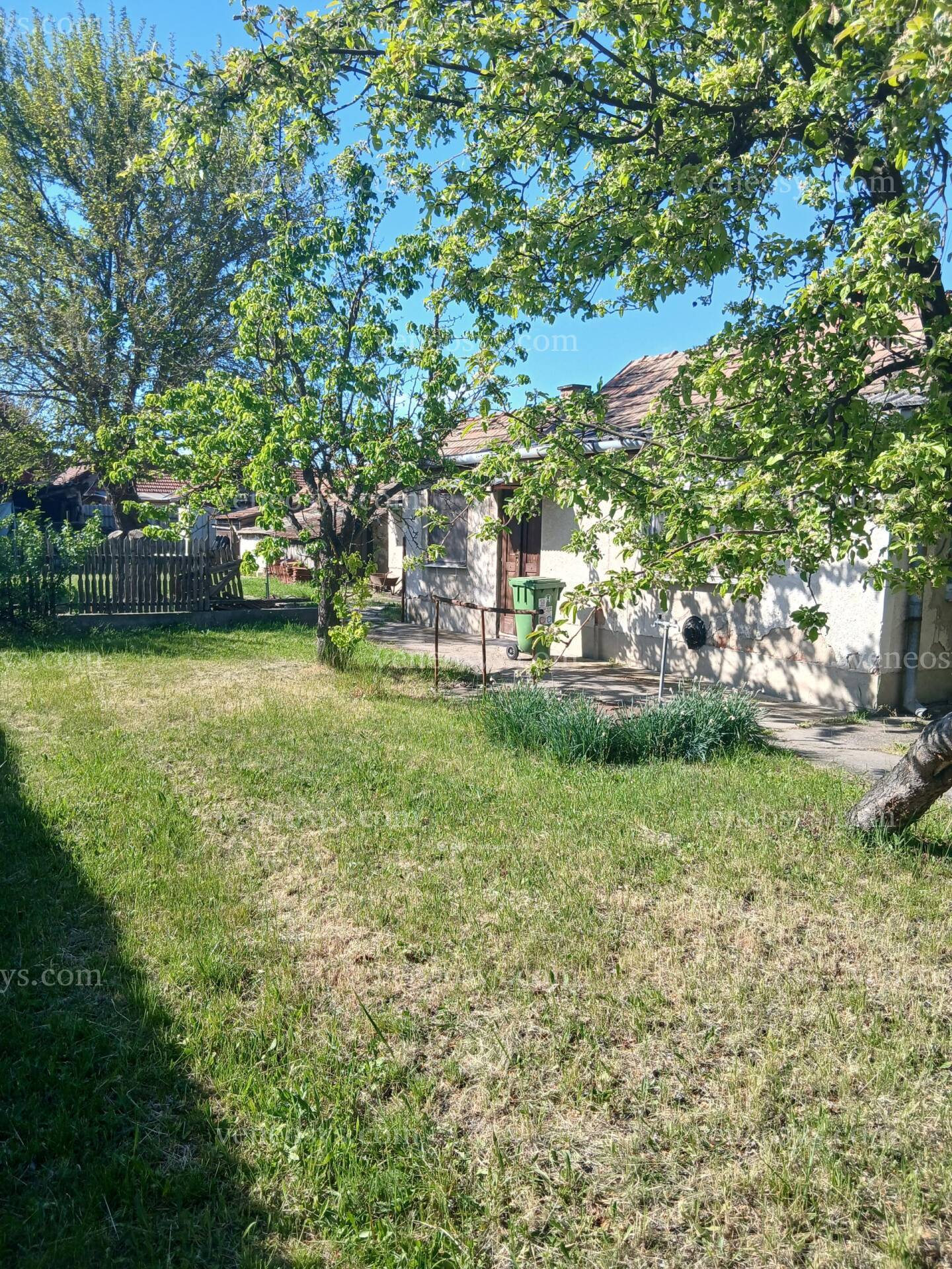Kép 12