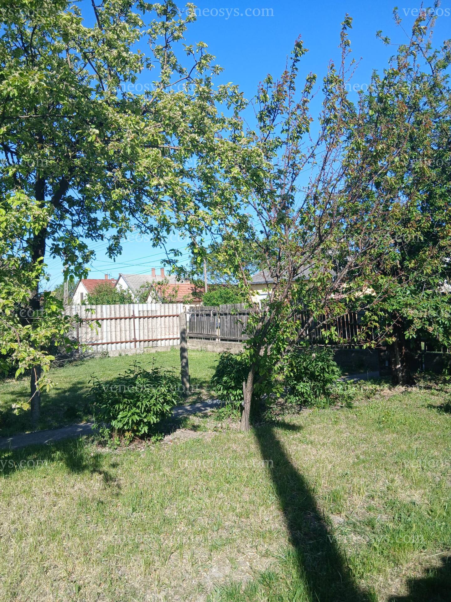 Kép 13