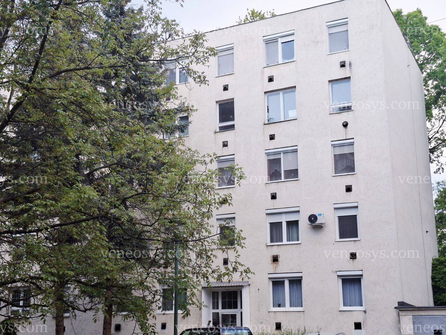 Kép 13