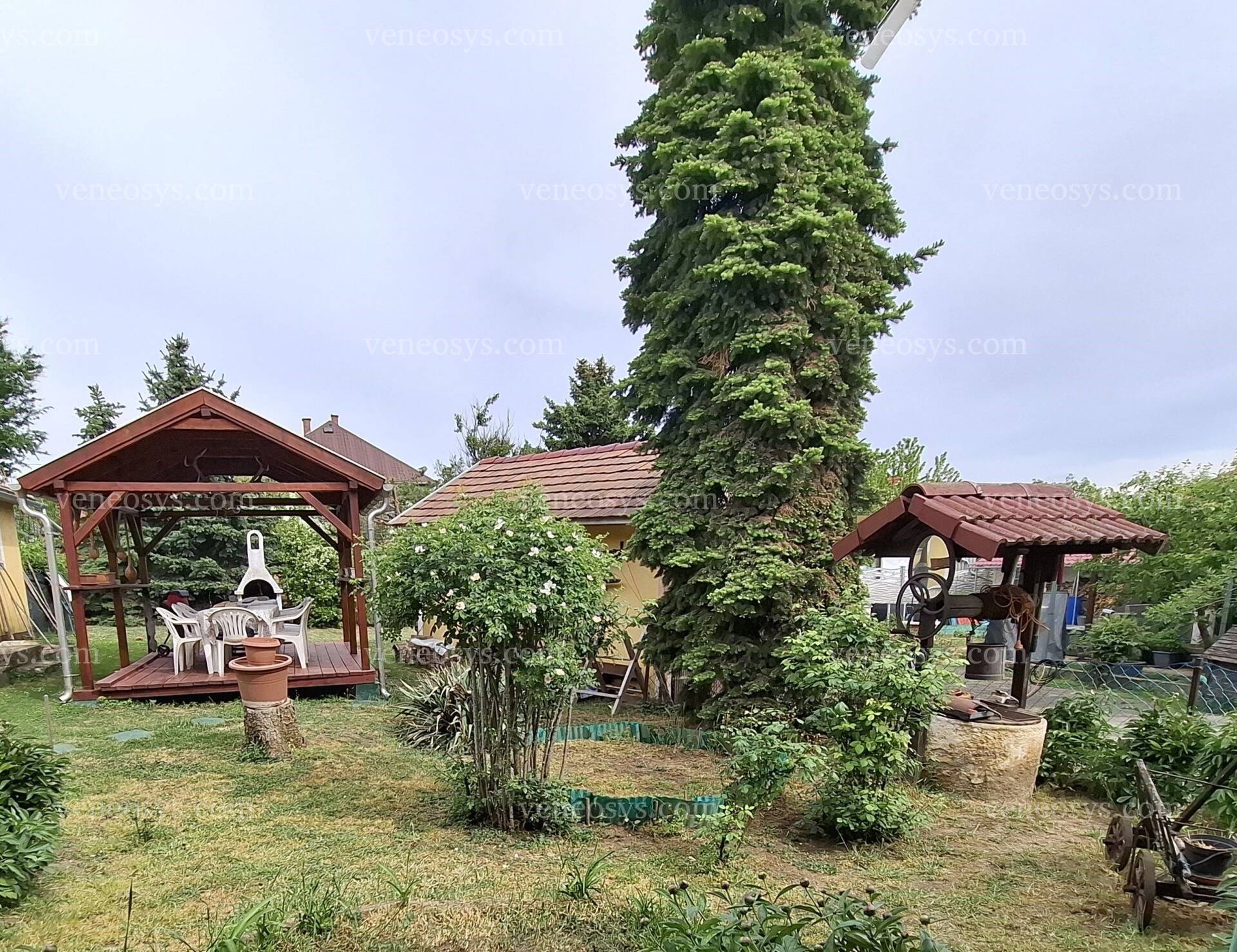 Kép 5