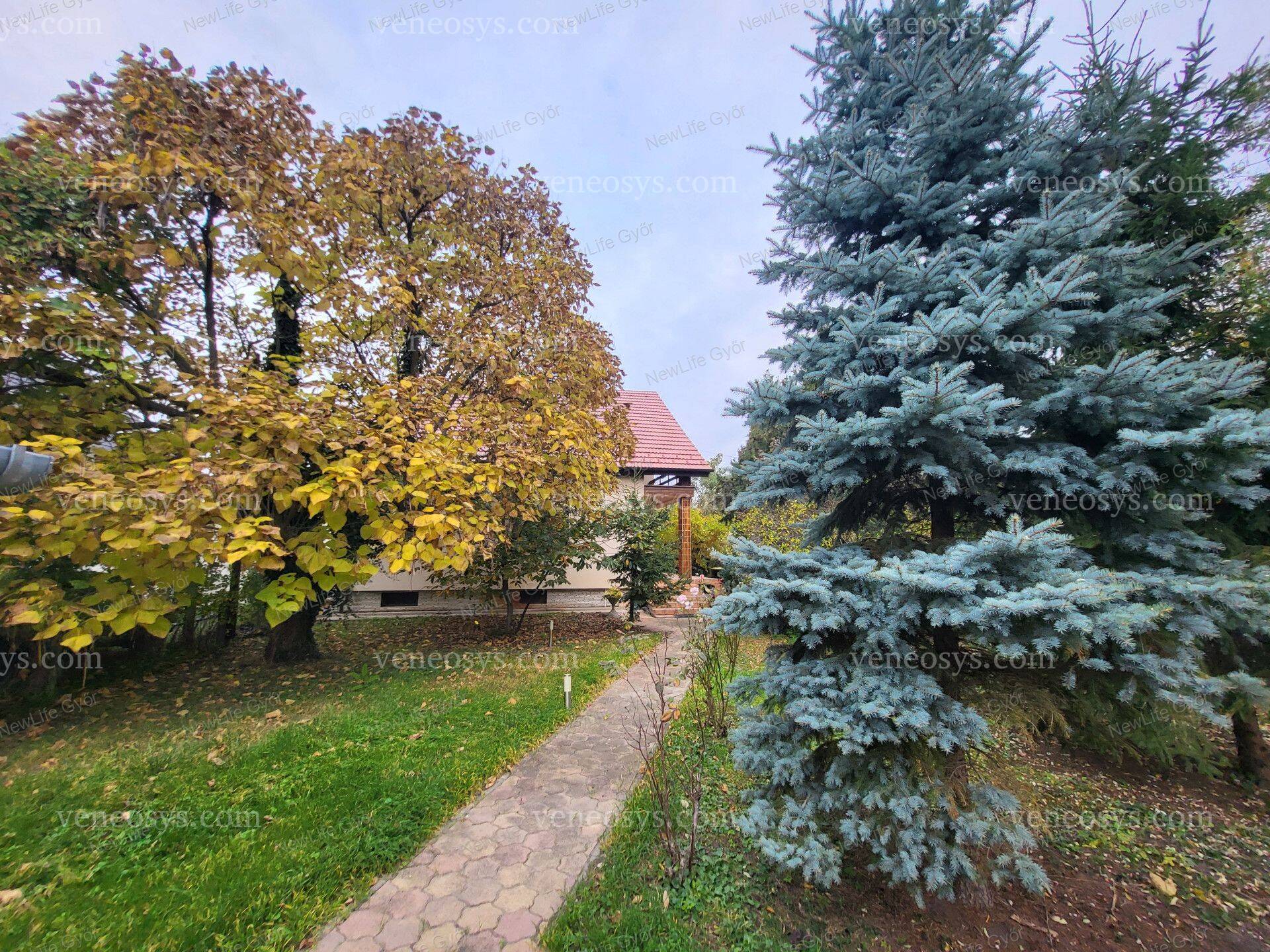 Kép 30