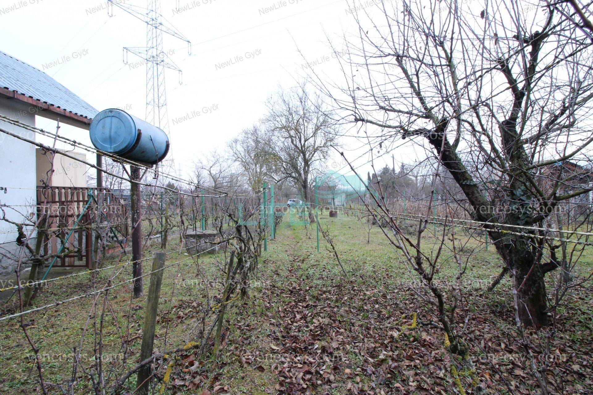 Kép 15