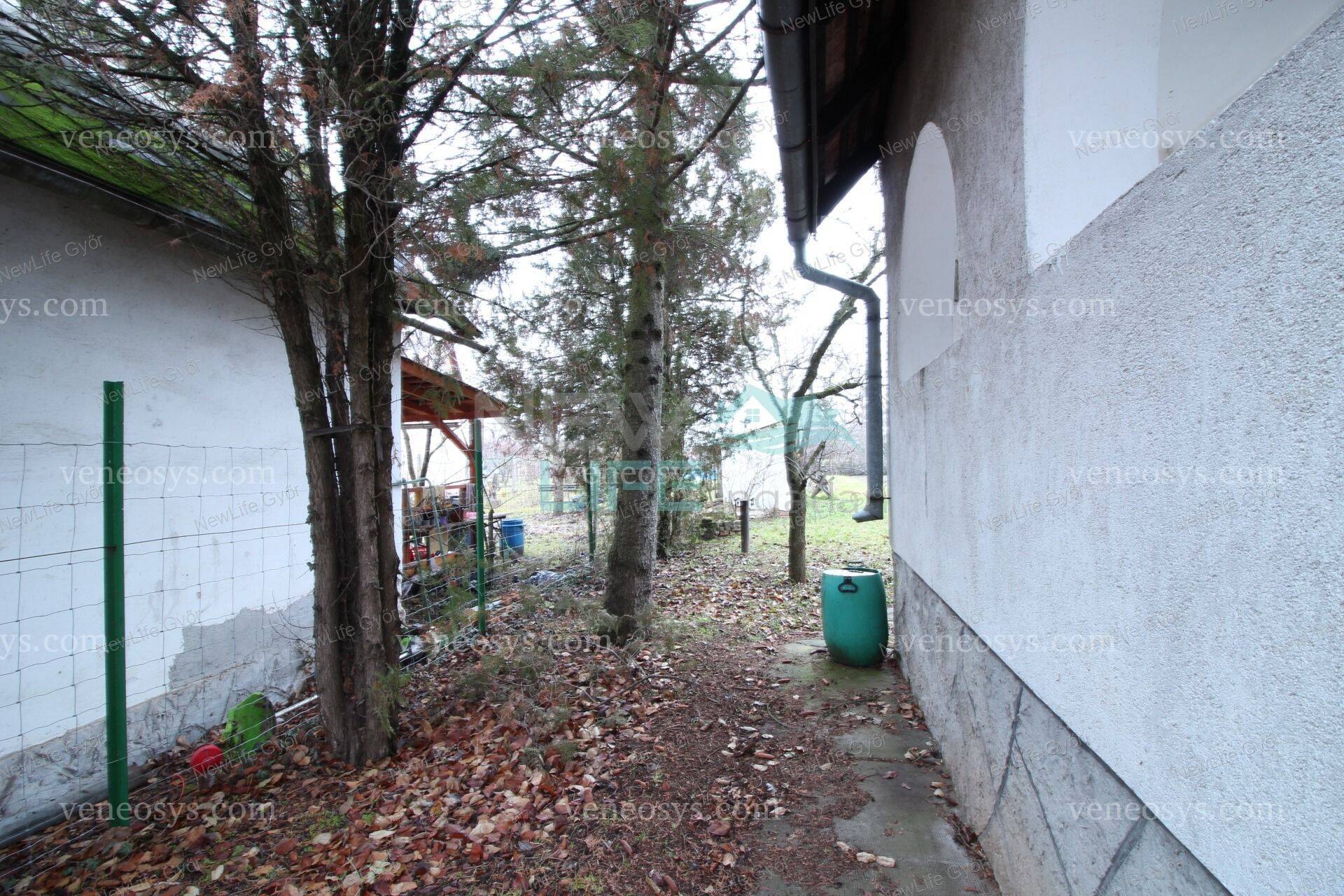 Kép 11