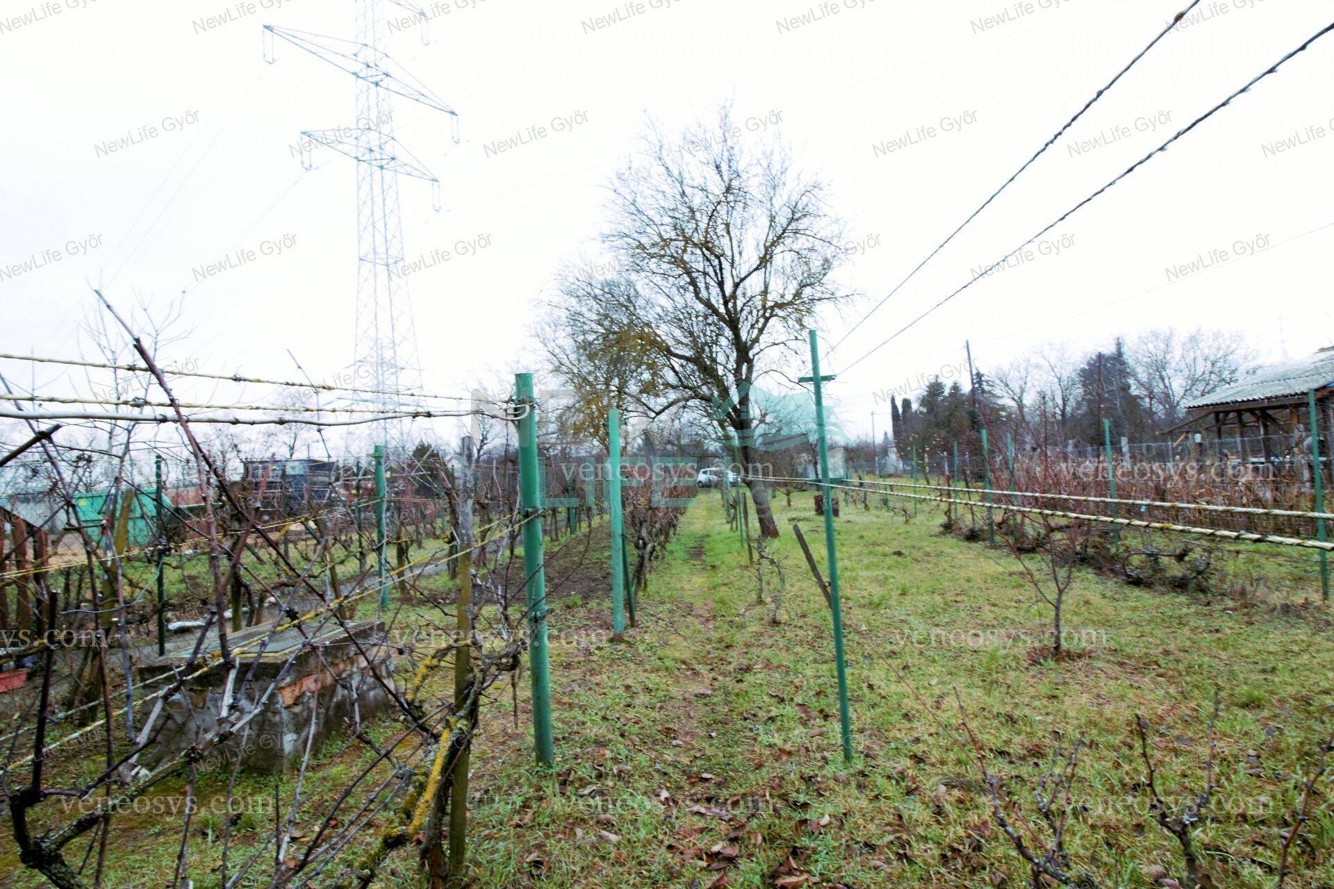 Kép 16