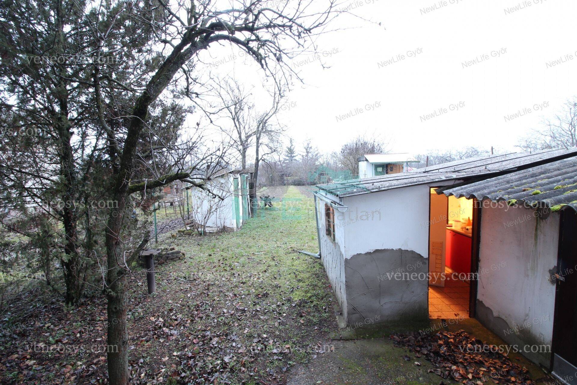 Kép 5
