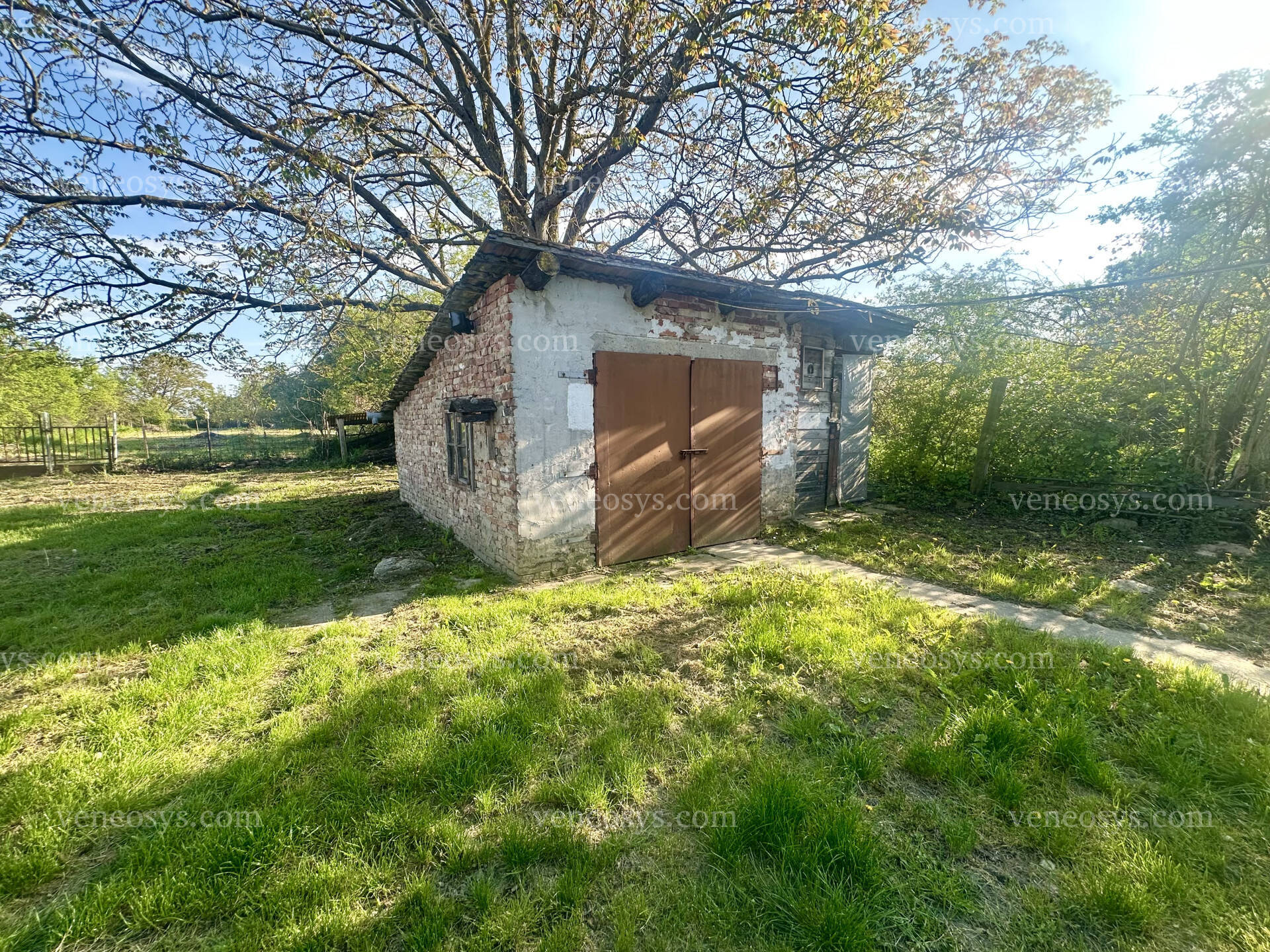 Kép 15