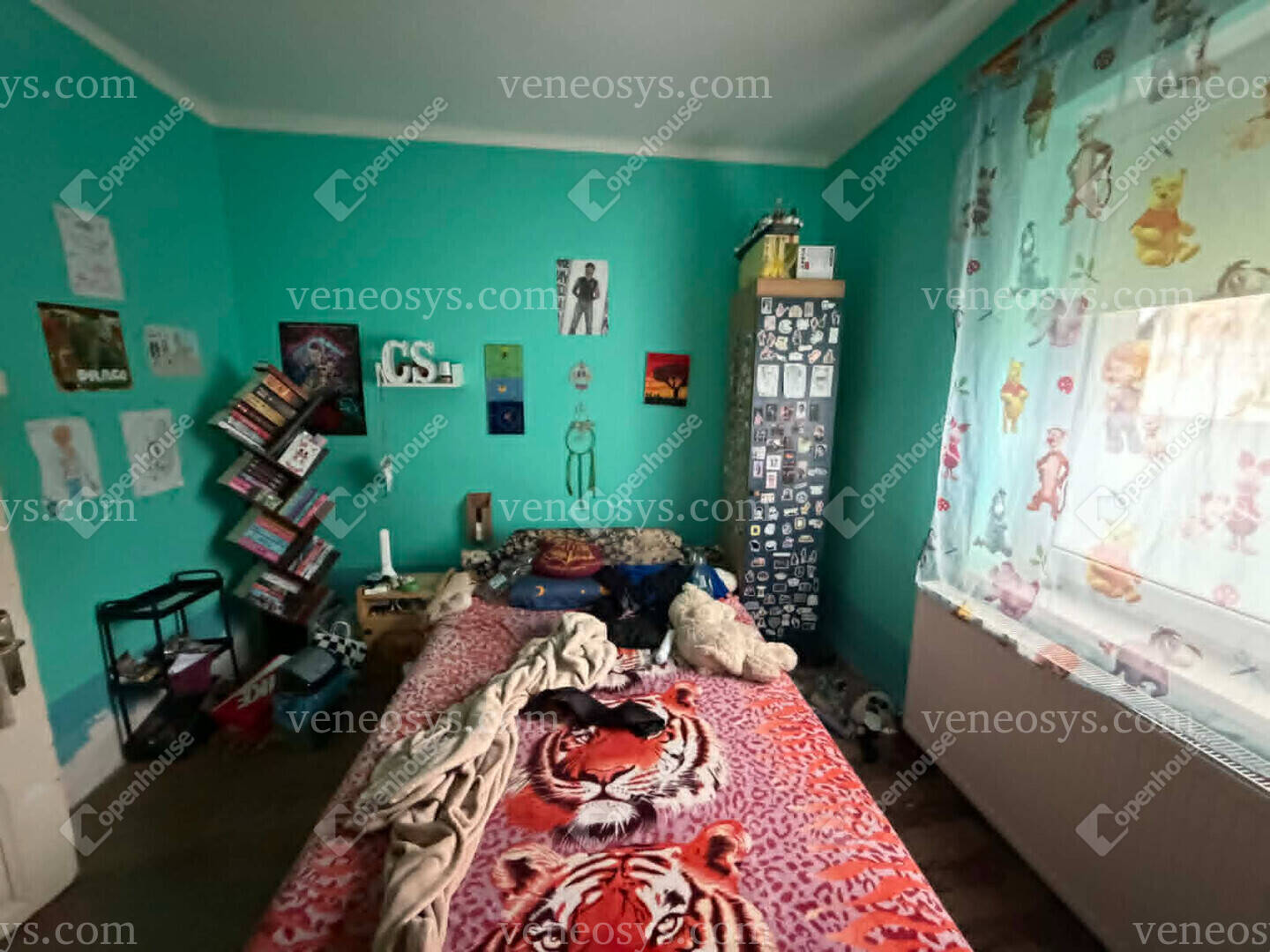 Kép 15