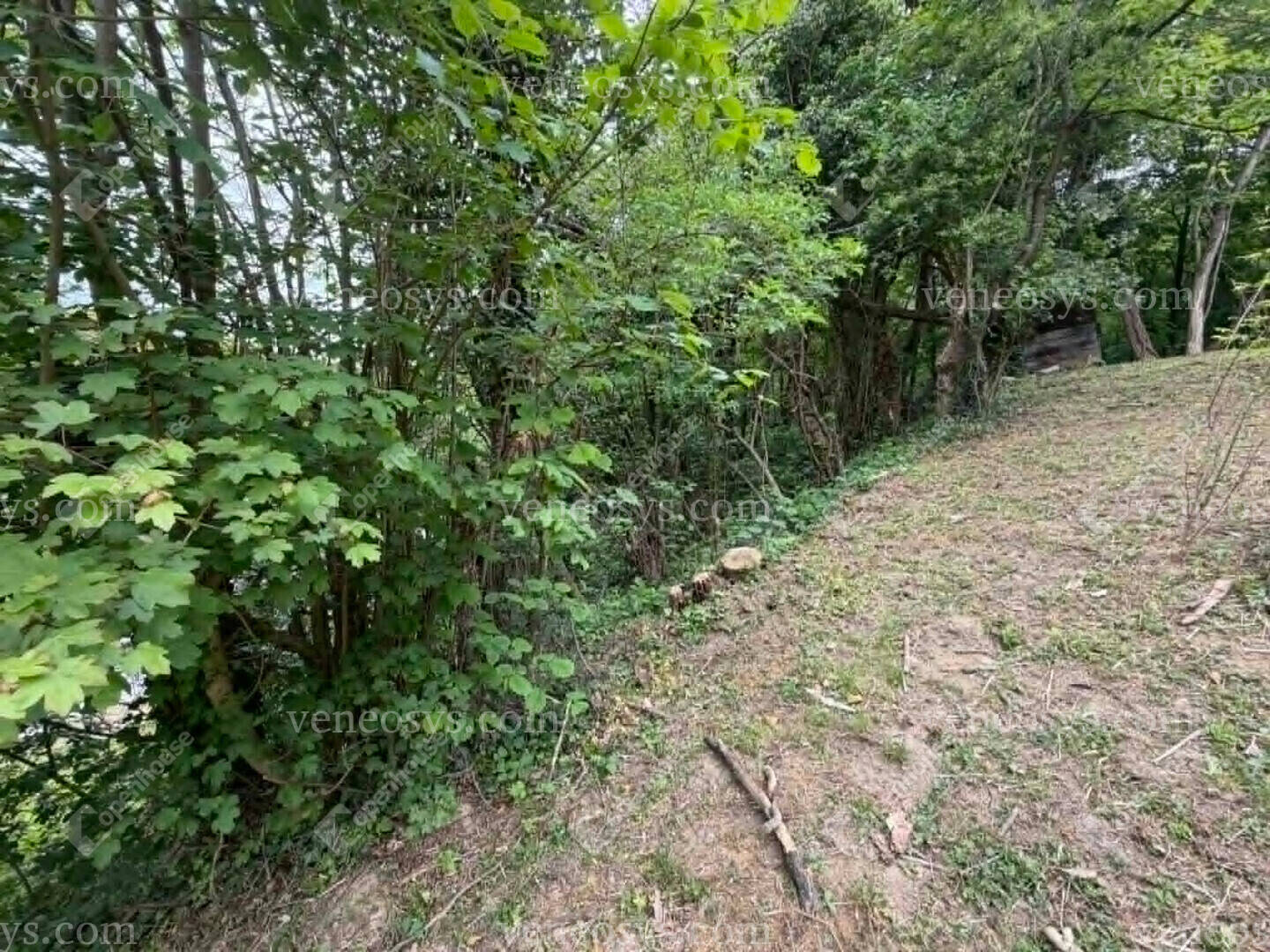 Kép 15