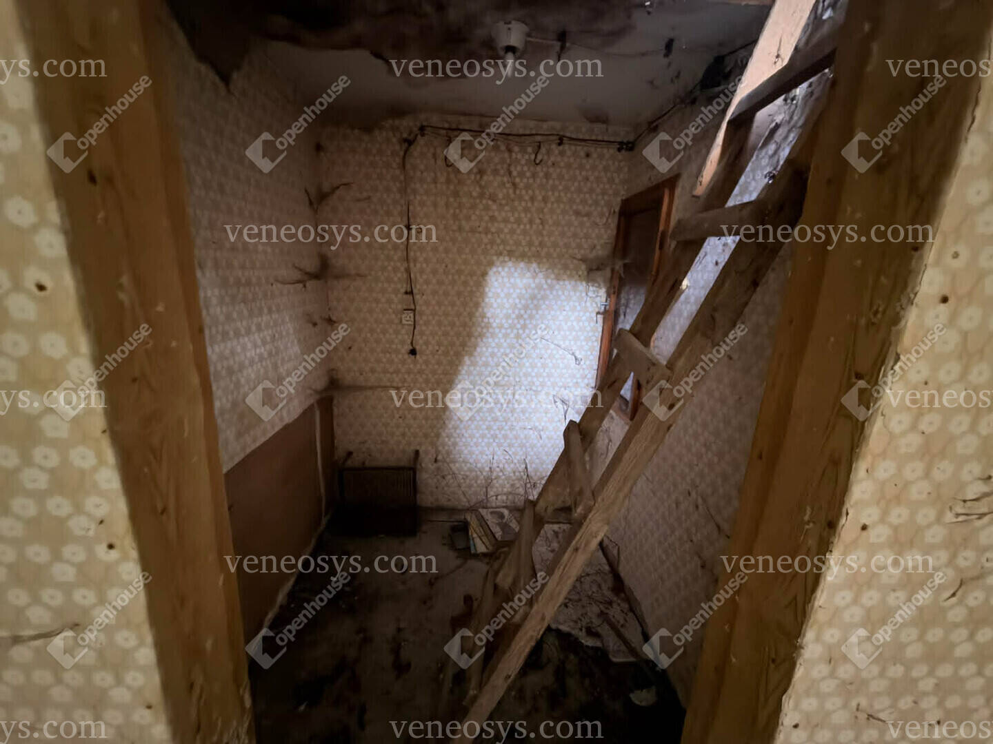 Kép 10