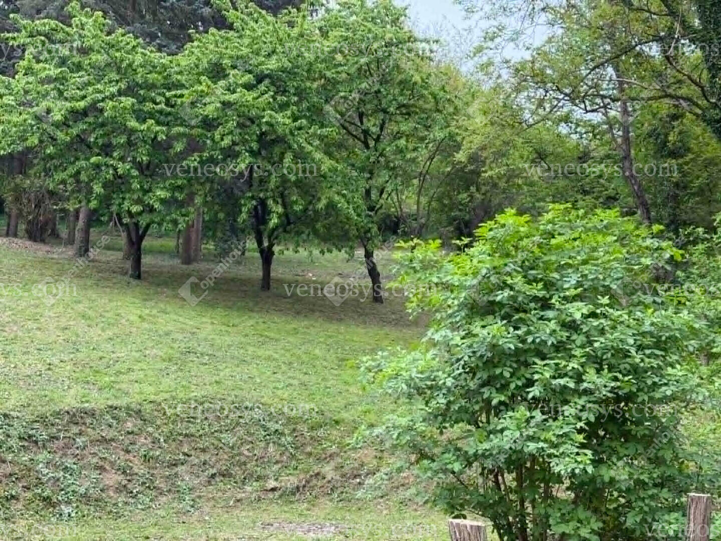 Kép 29