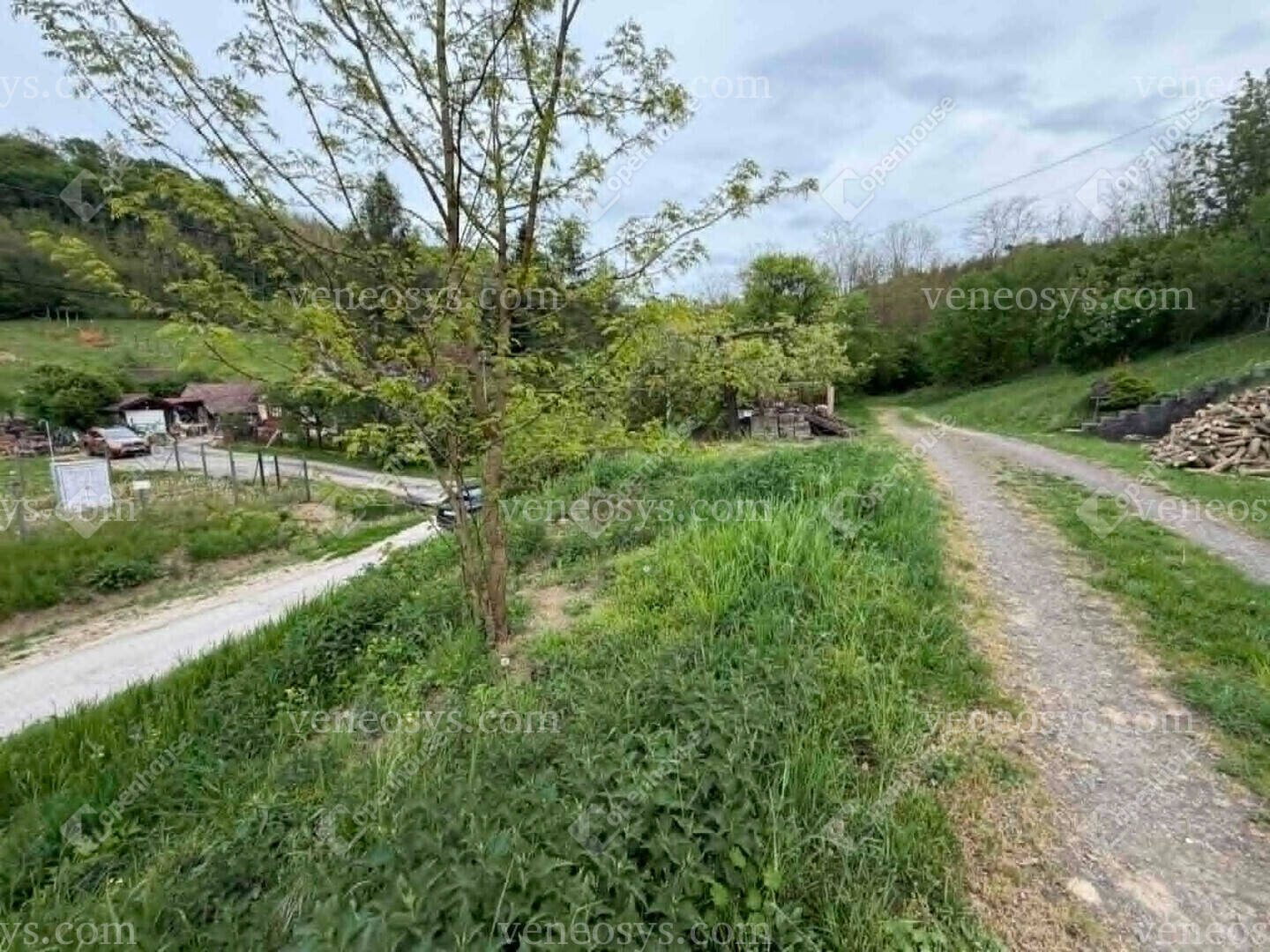 Kép 4