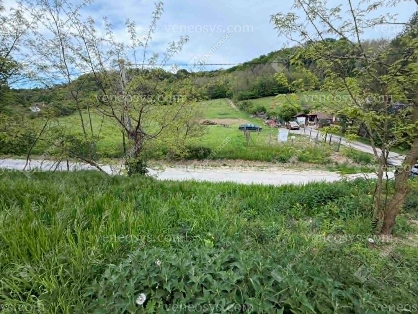 Kép 14