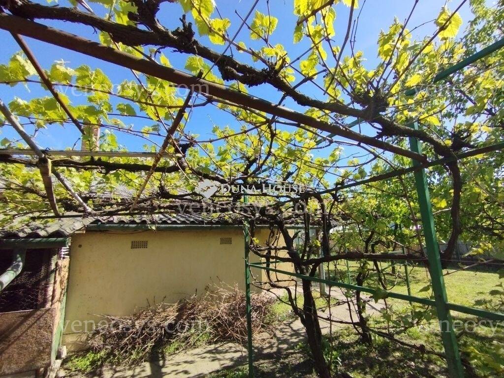 Kép 10