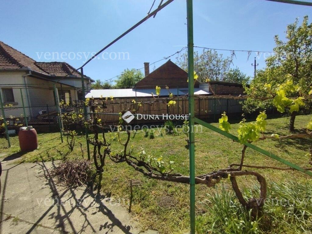 Kép 11