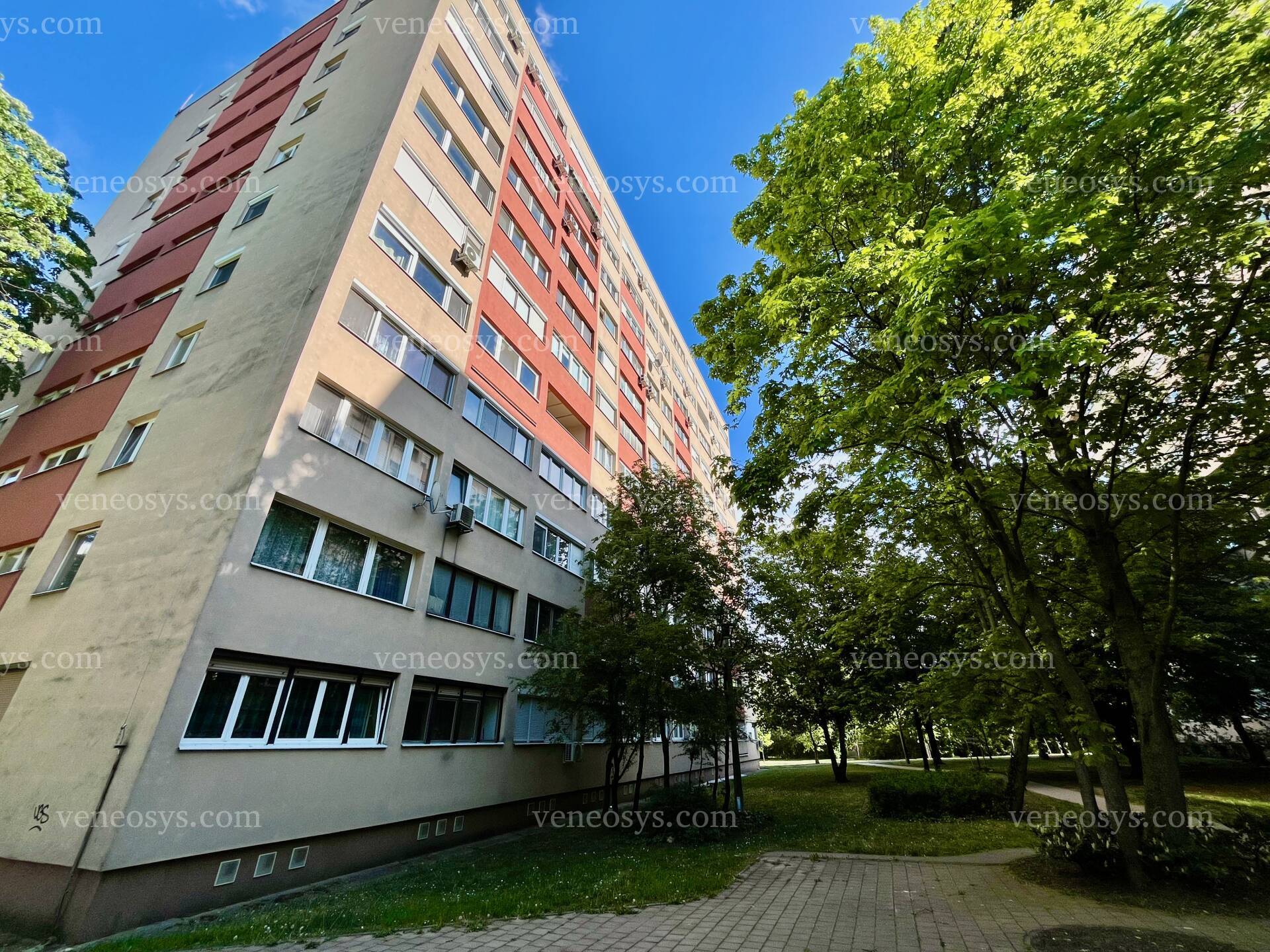 Kép 17