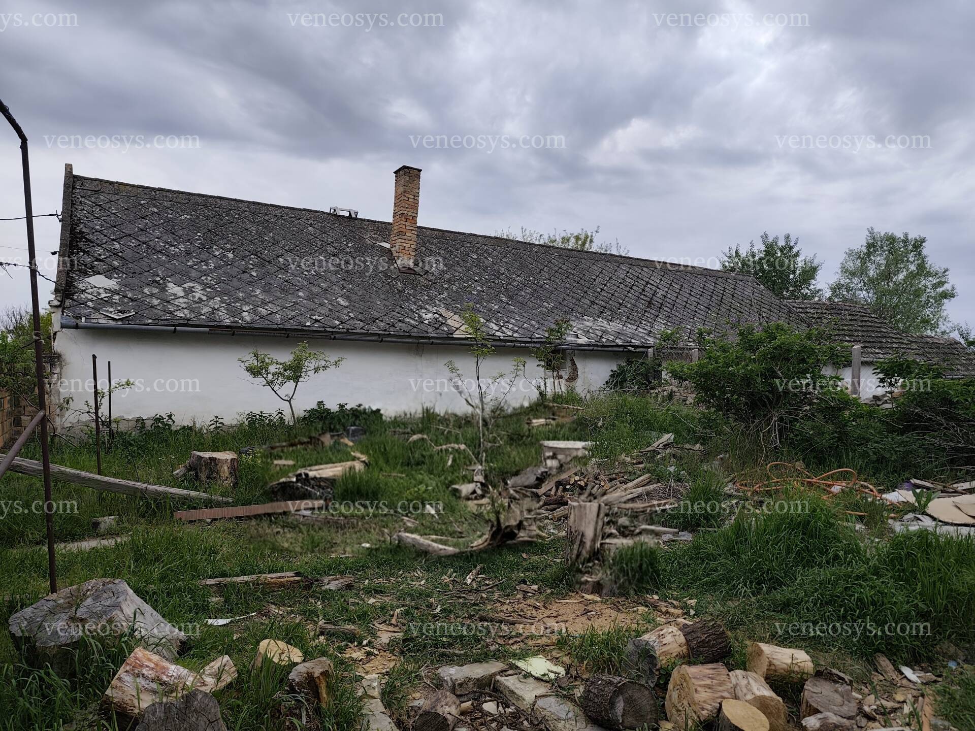 Kép 11