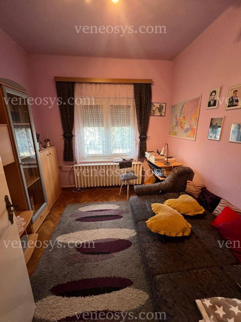 Kép 7