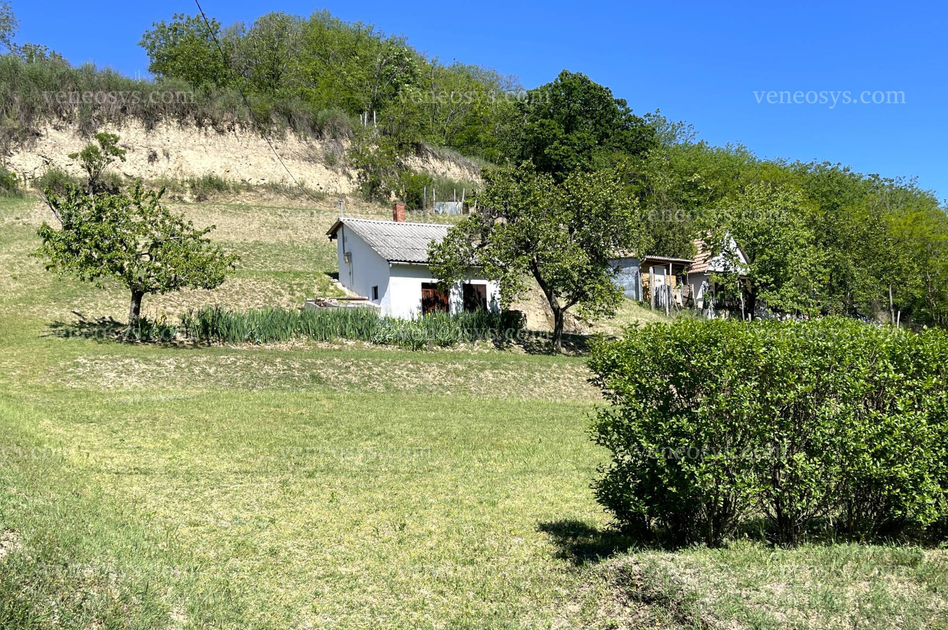 Kép 6