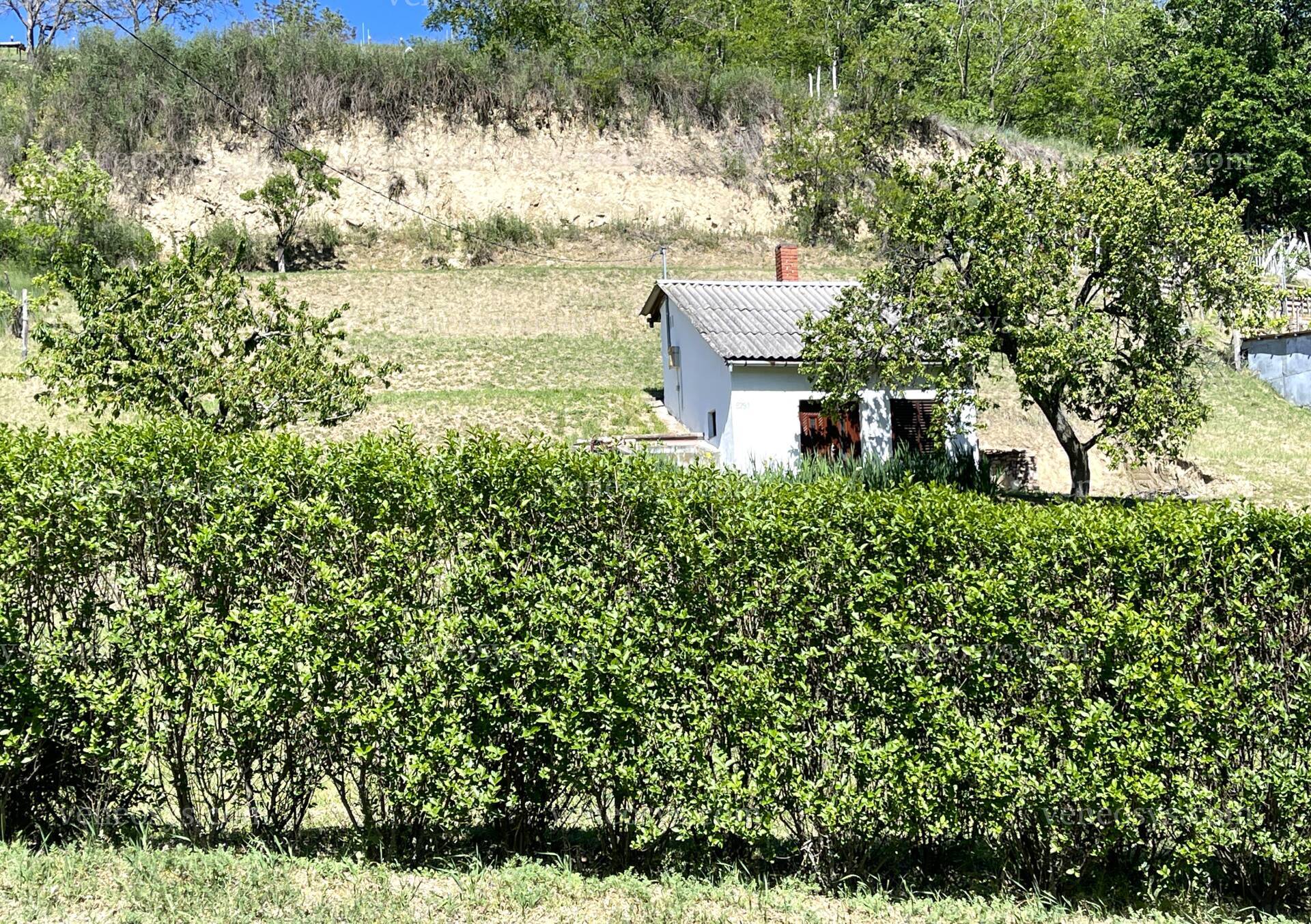 Kép 5