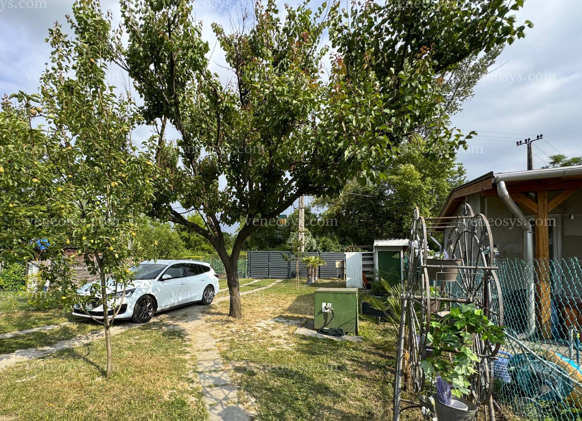 Kép 15
