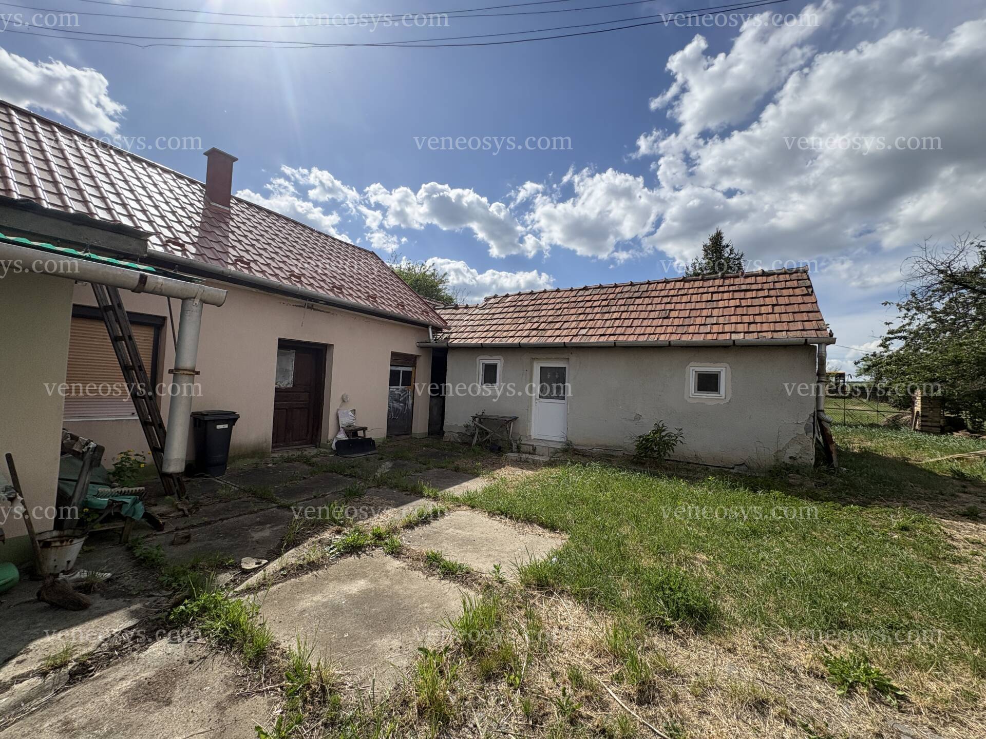 Kép 5