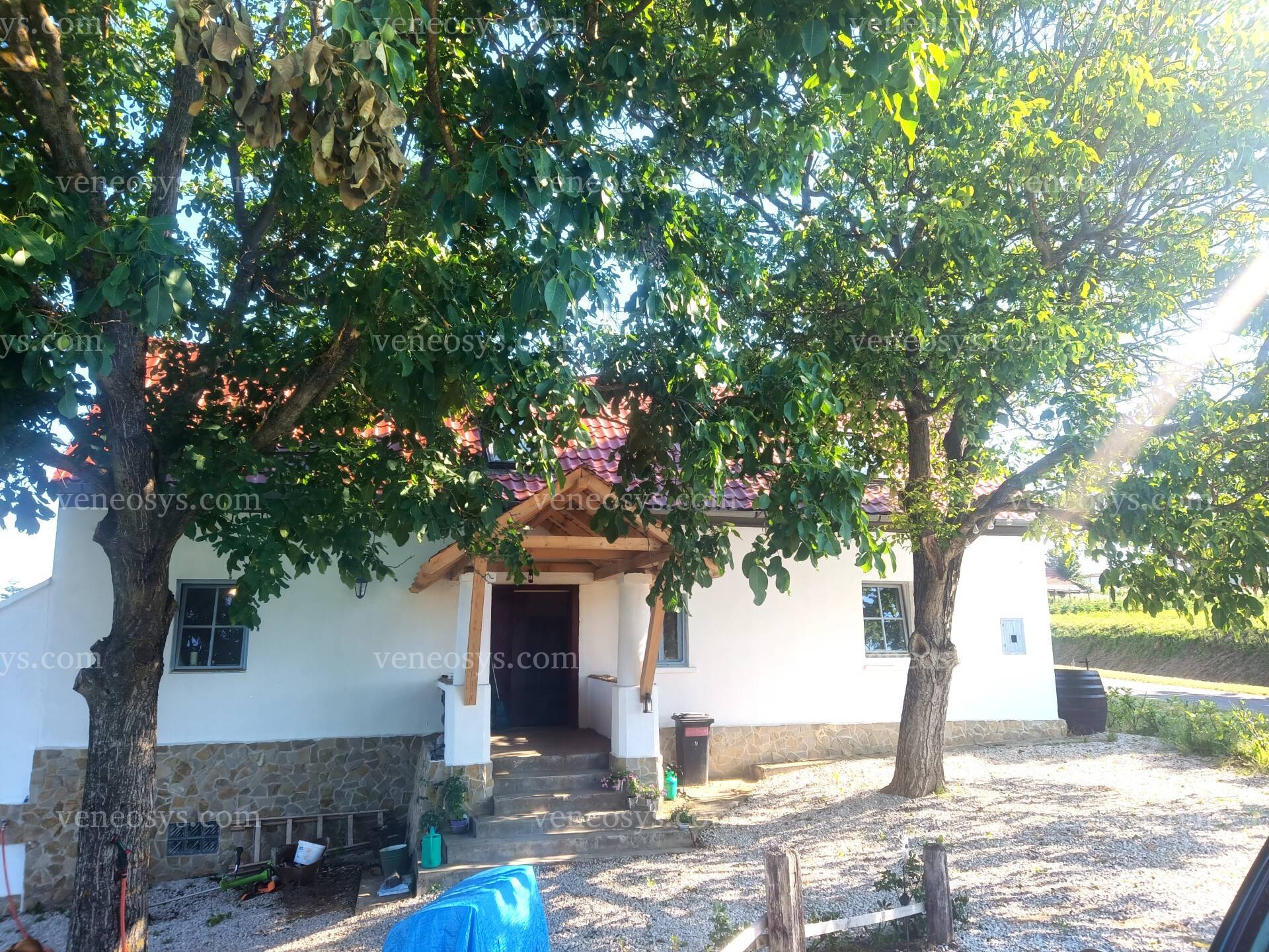Kép 19