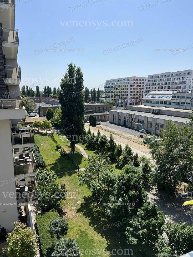 Kép 19