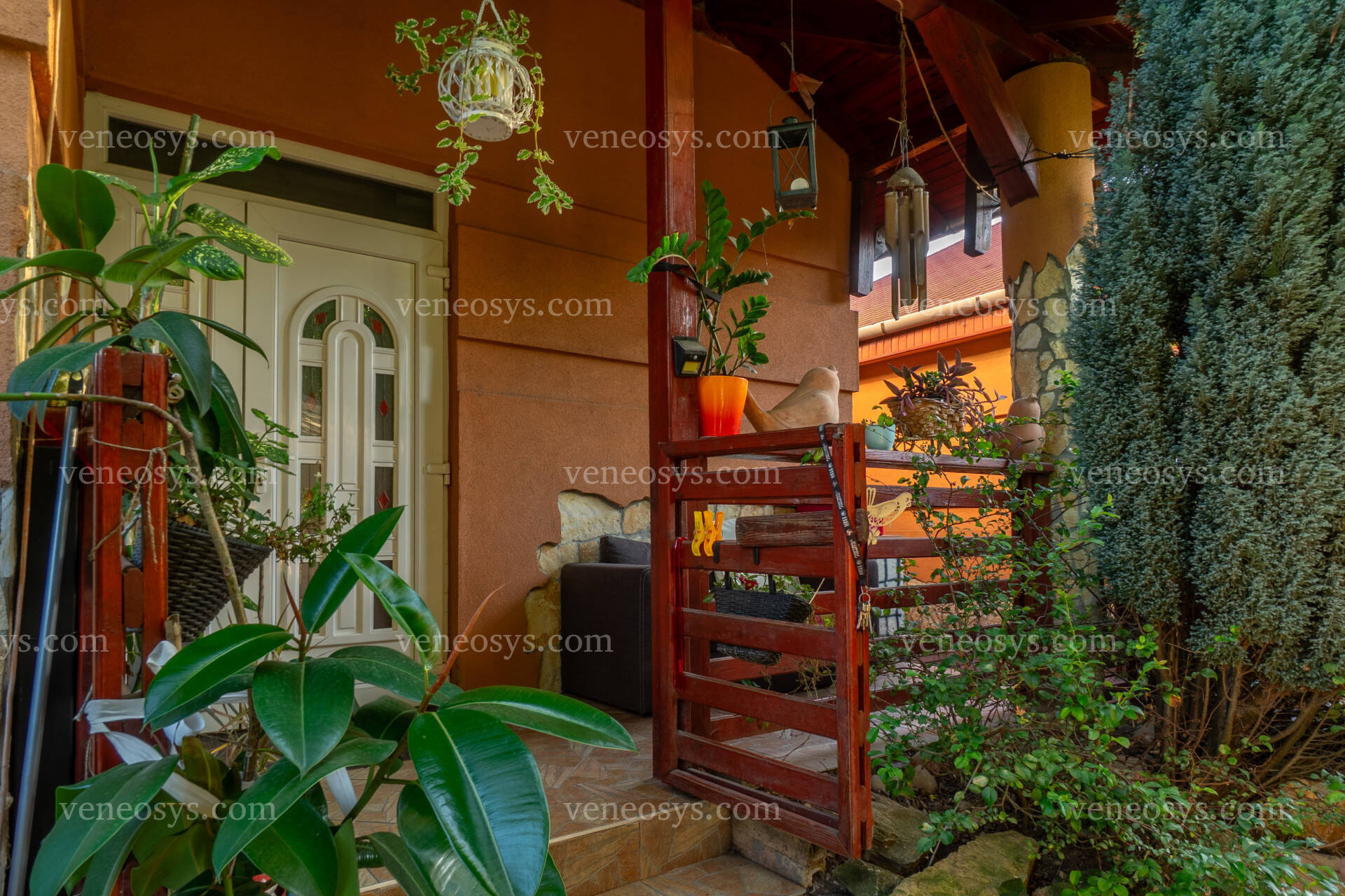 Kép 4