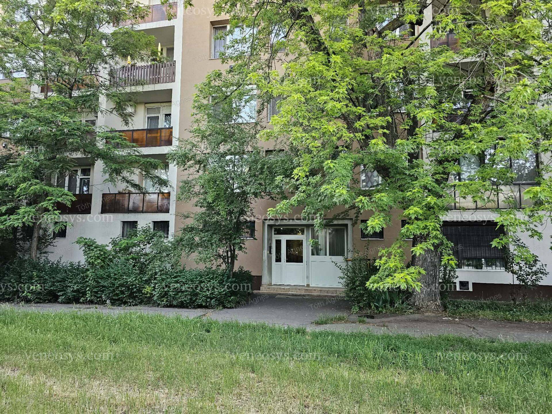 Kép 15