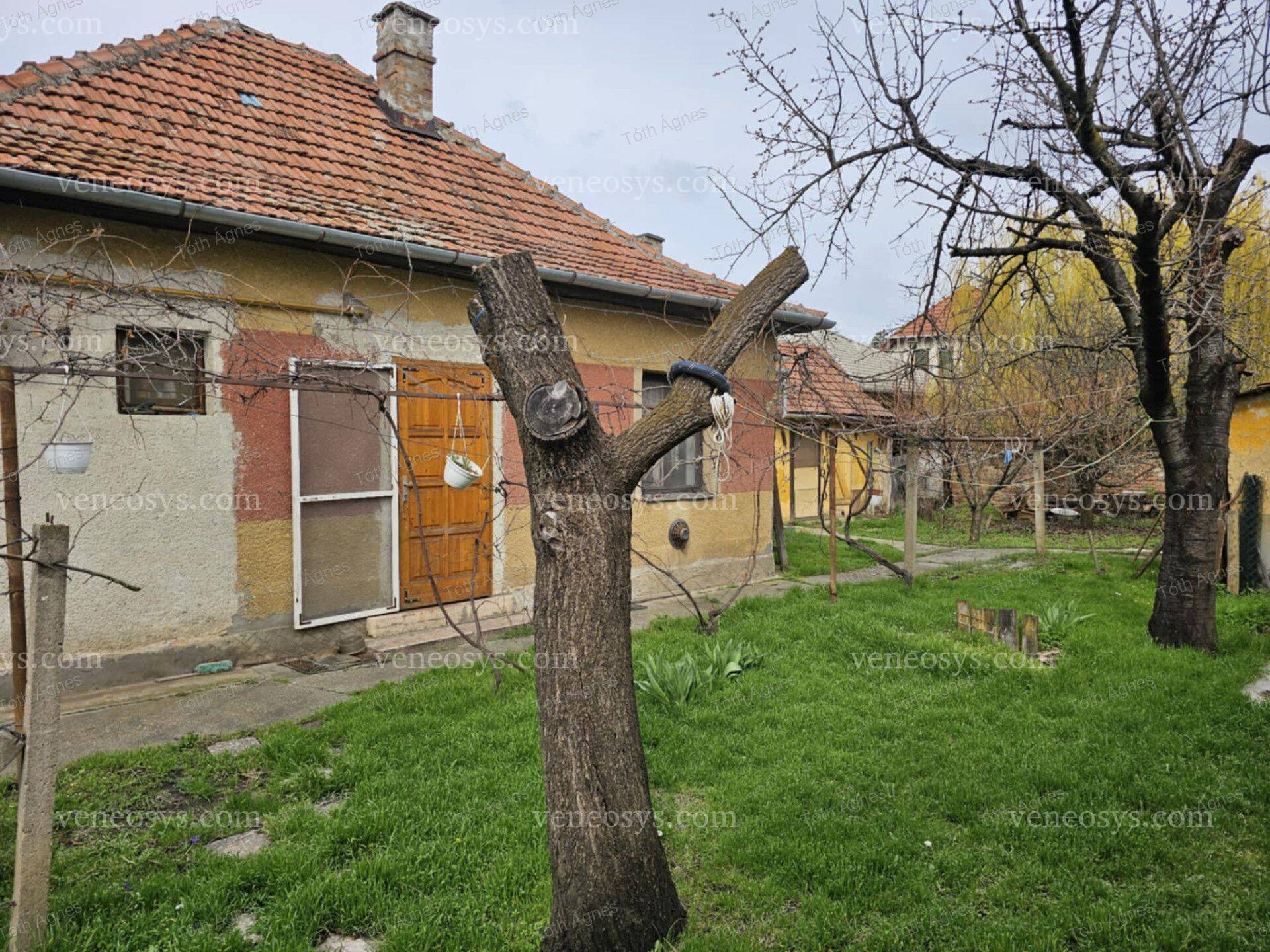 Kép 3