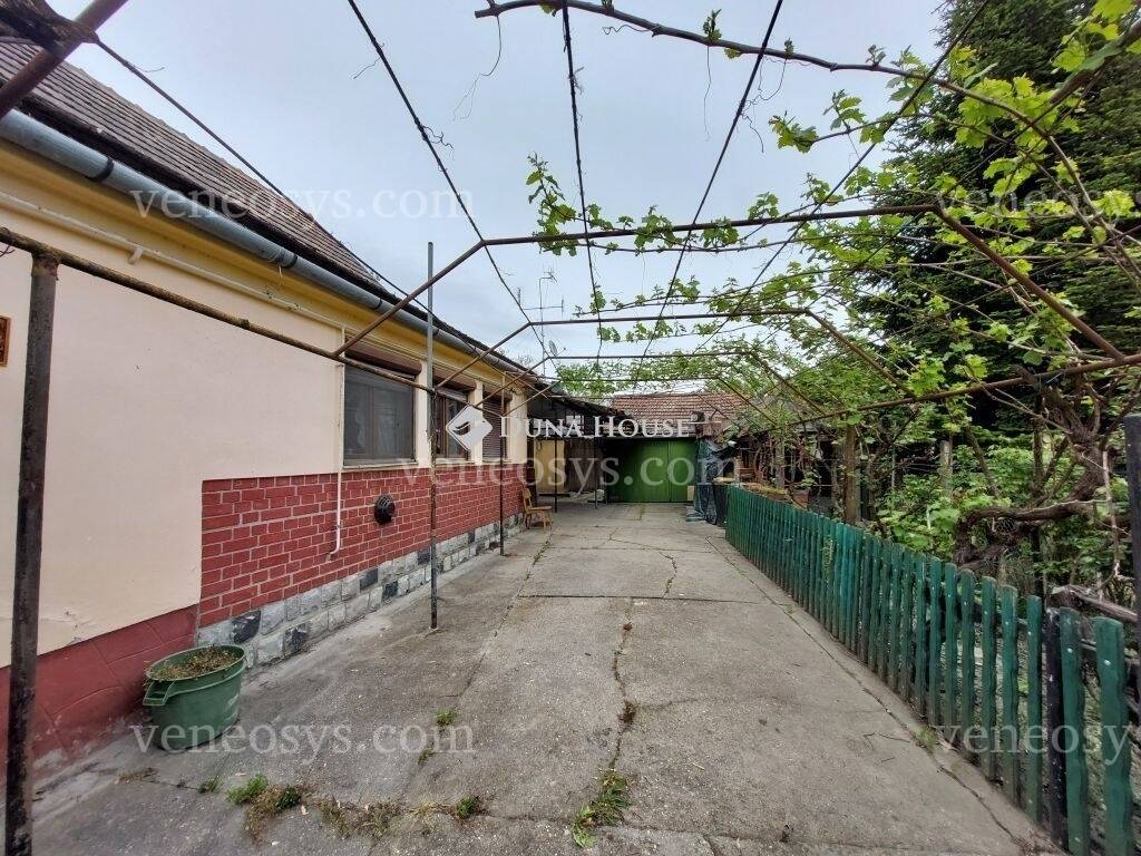 Kép 1