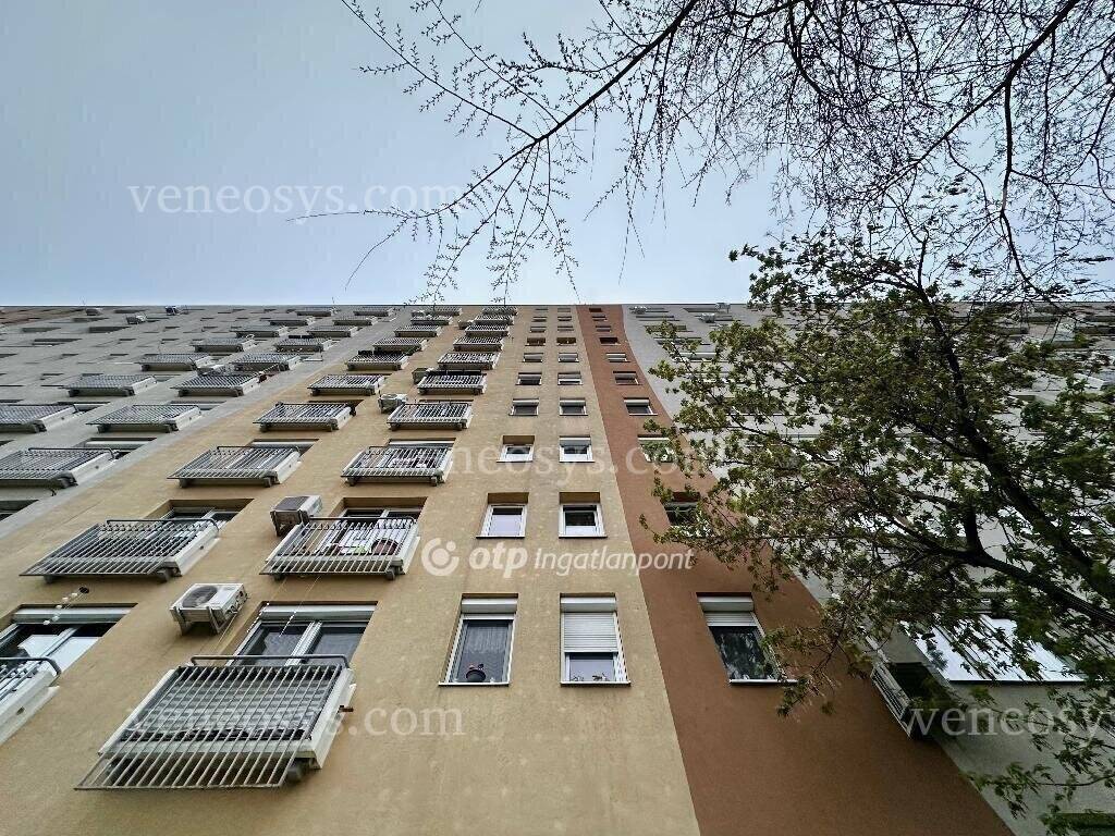 Kép 11