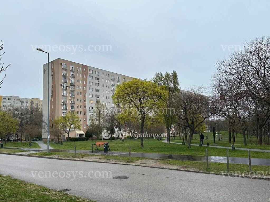 Kép 15