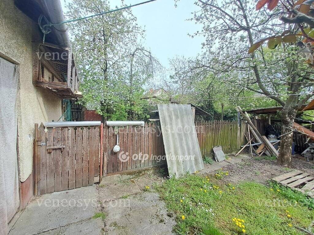 Kép 19