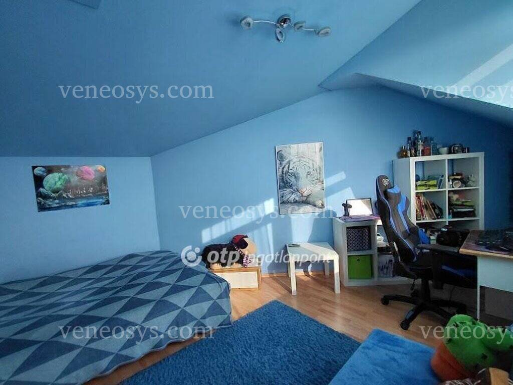 Kép 10