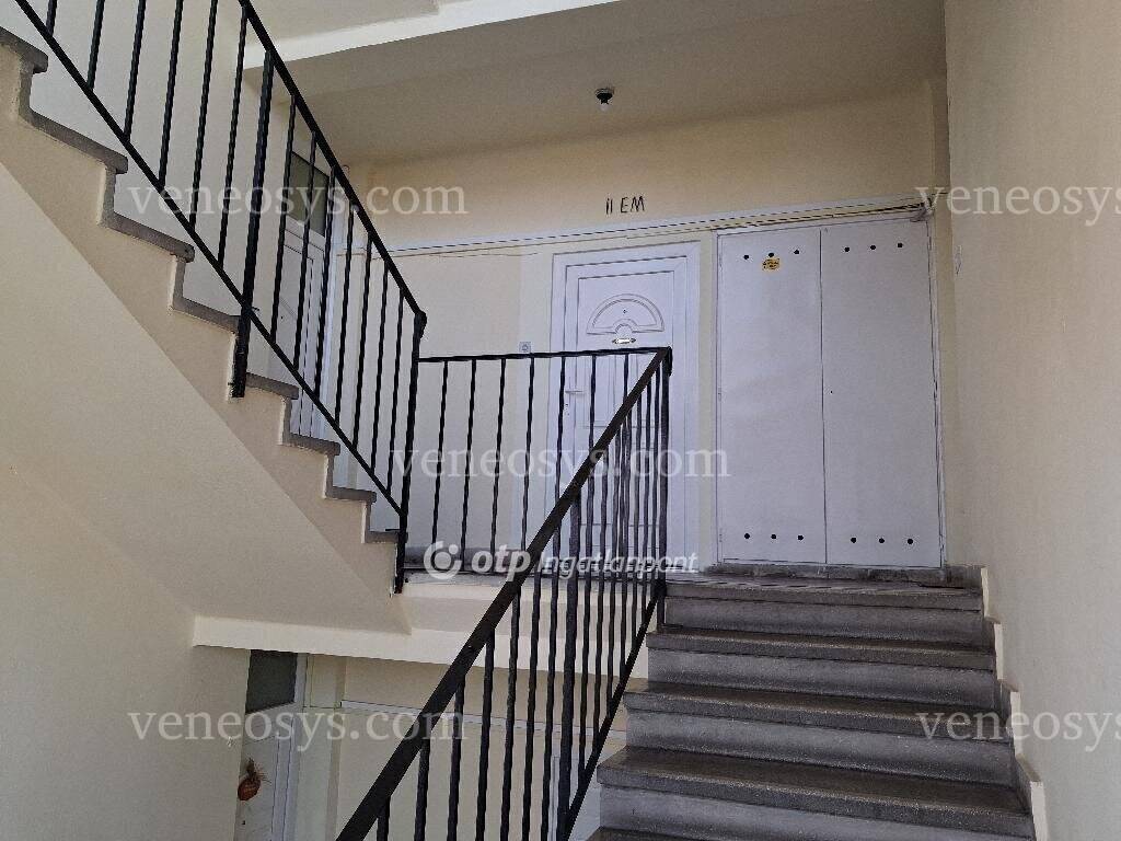 Kép 7