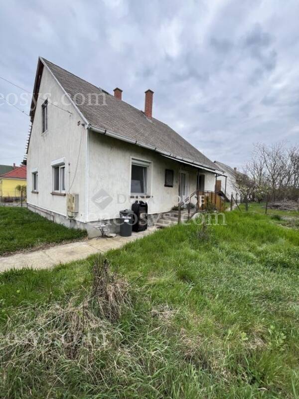 Kép 5