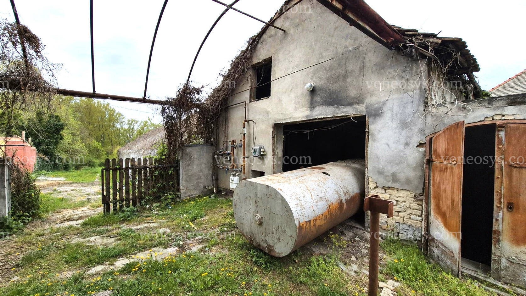 Kép 10
